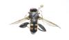 Chalcosyrphus nemorum